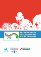 Portada local