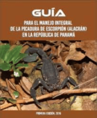 Portada local